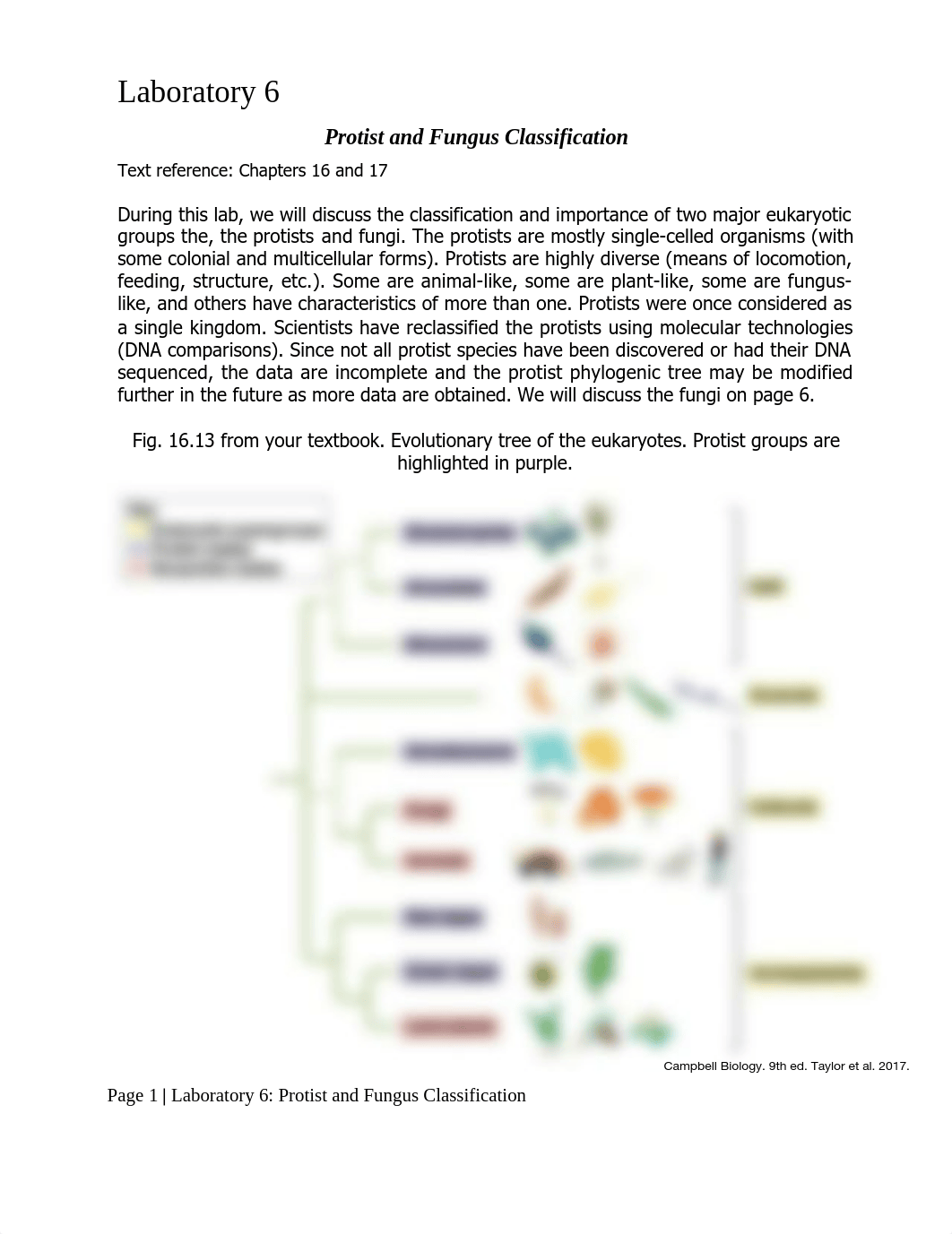 Bio 1020 Lab 6.docx_dcinz4vwiad_page1