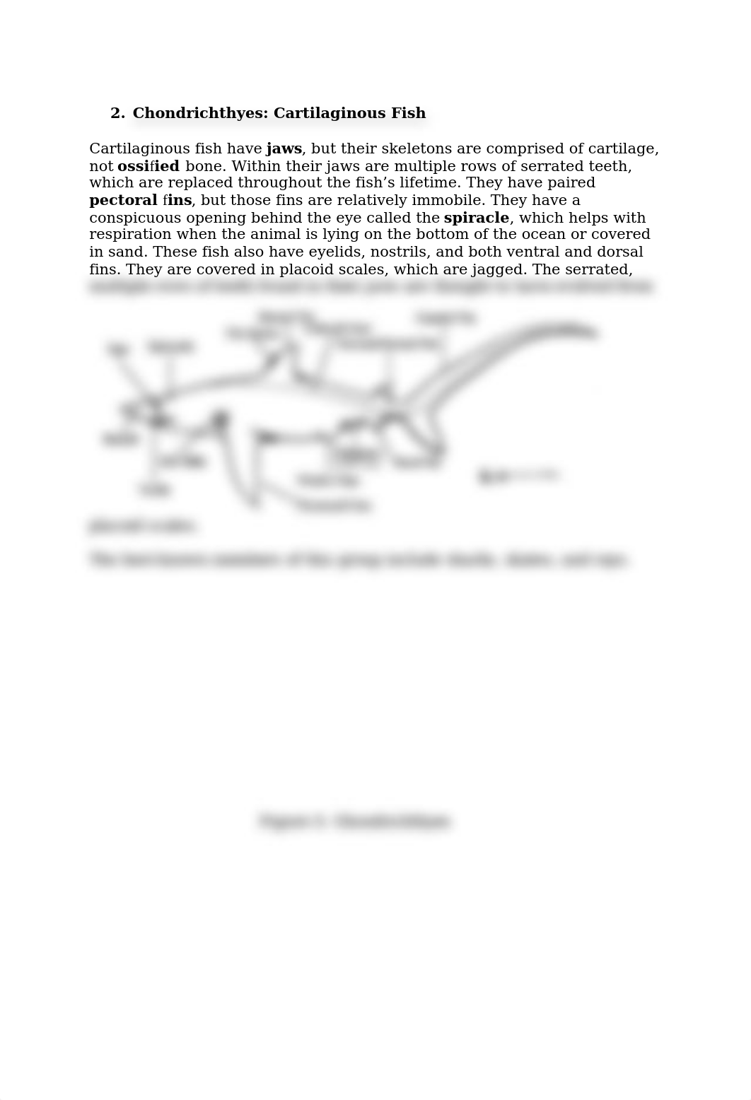 BIO112_Lab6 2020.docx_dcipygwu4tx_page3