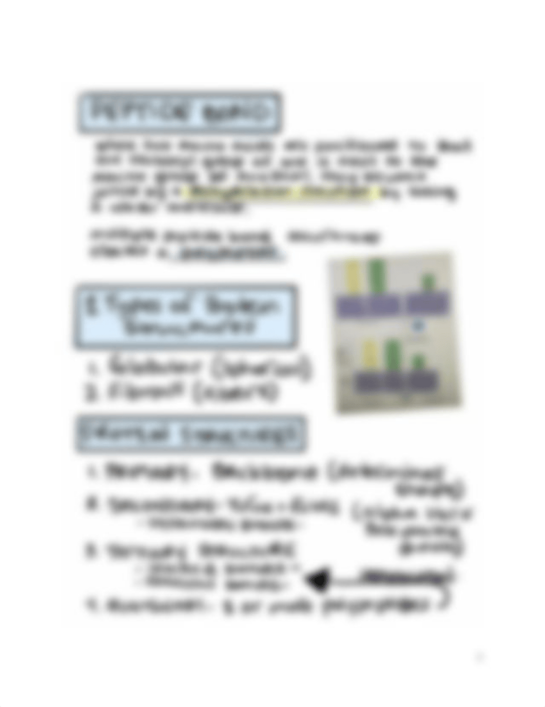 Corrine's Biochemistry Pic Notes 2020.pdf_dcisp0hex2s_page5