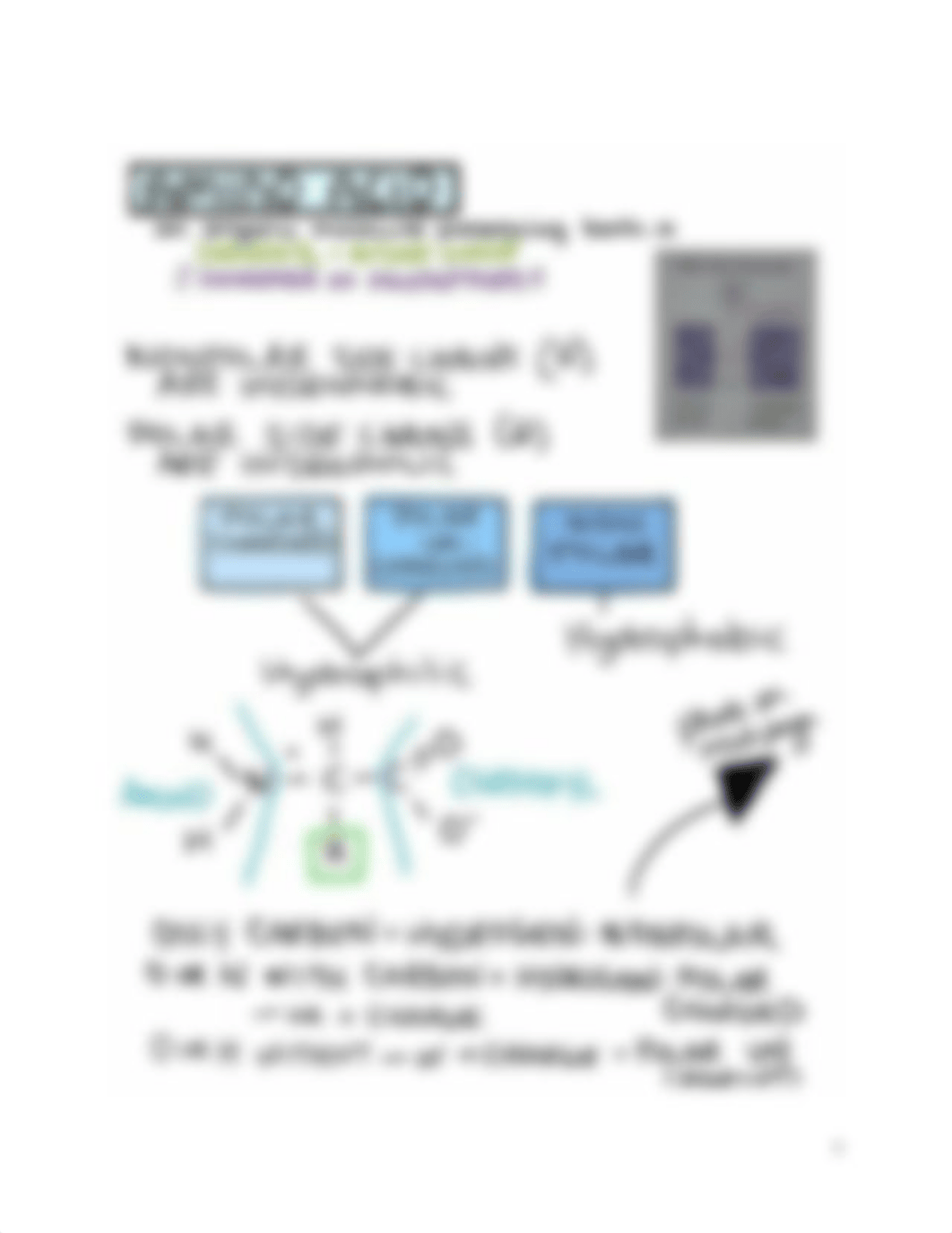 Corrine's Biochemistry Pic Notes 2020.pdf_dcisp0hex2s_page4