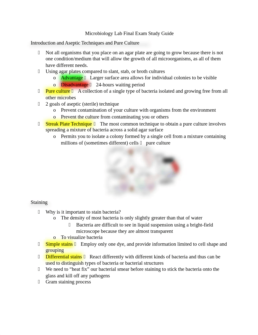 Microbiology Lab Final Exam Study Guide.docx_dcitfvukju4_page1