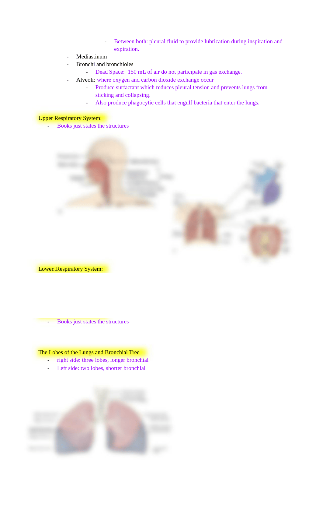 Ch 20.docx_dciw69zq87m_page2