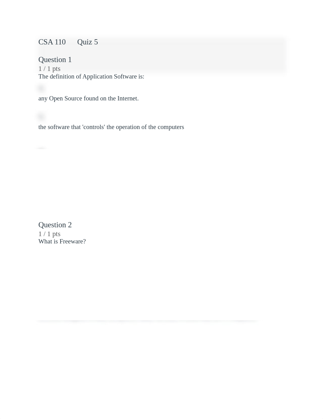 CSA 110 Quiz 5.docx_dcj19q753lw_page1