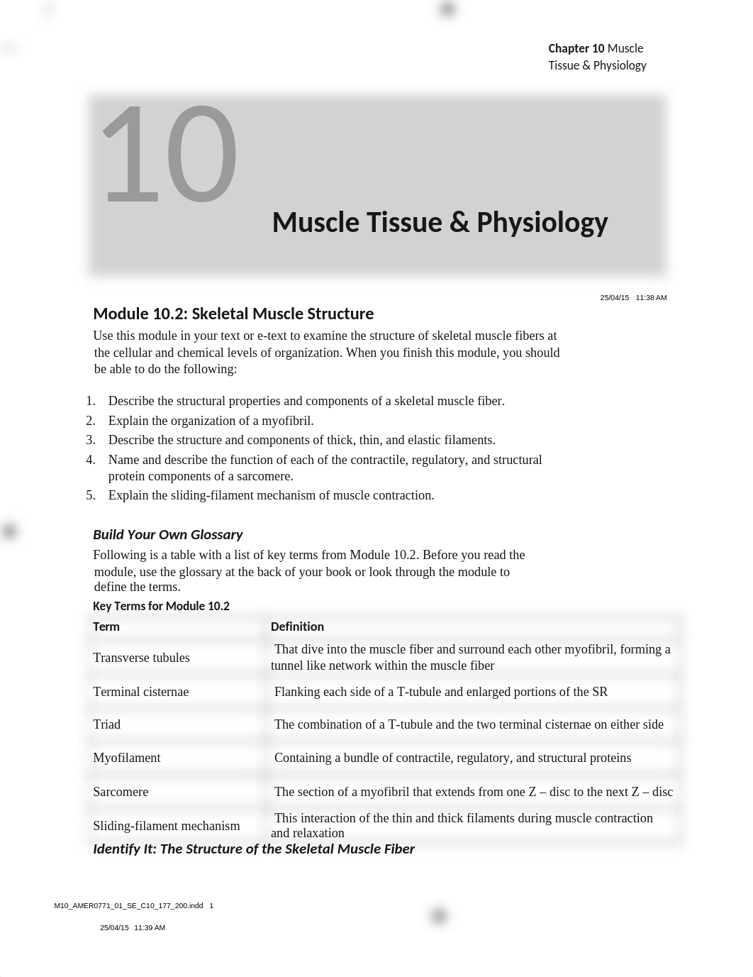 A & P I-Muscle Physiology Packet.docx_dcj3x58vzz4_page1