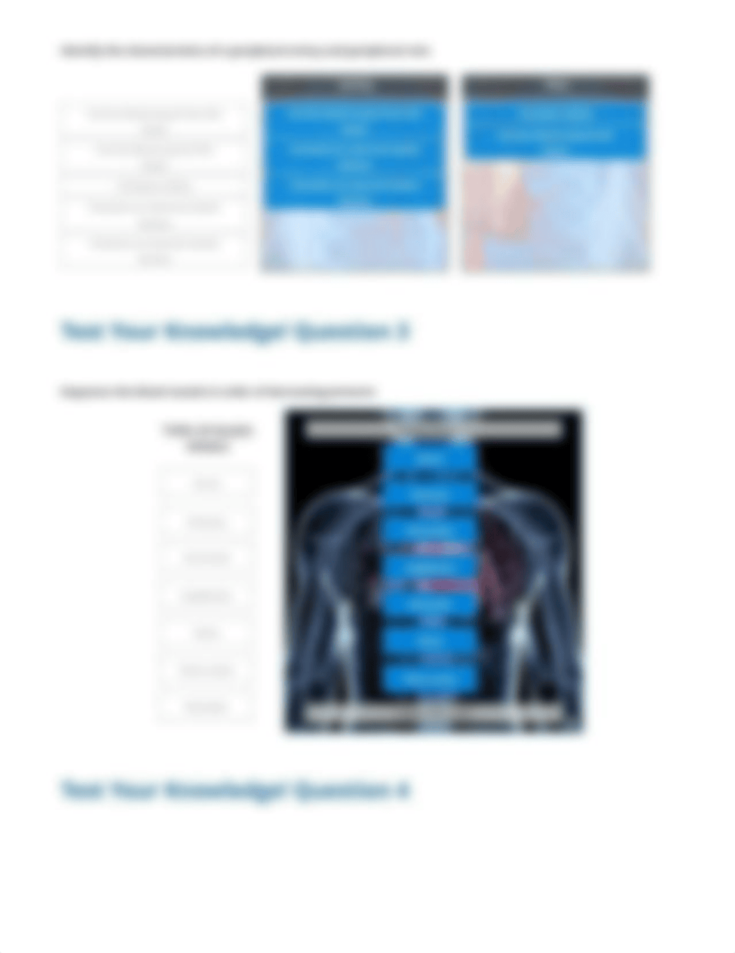 Cardiovascular System - Heart and Blood Vessels - Exploration report_dcj8zsvk10q_page2