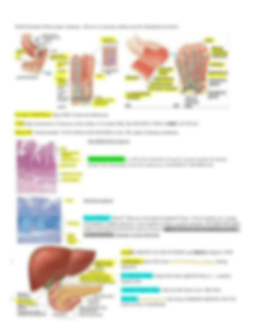 Lab Practical 3.docx_dcjfhkevxwg_page5