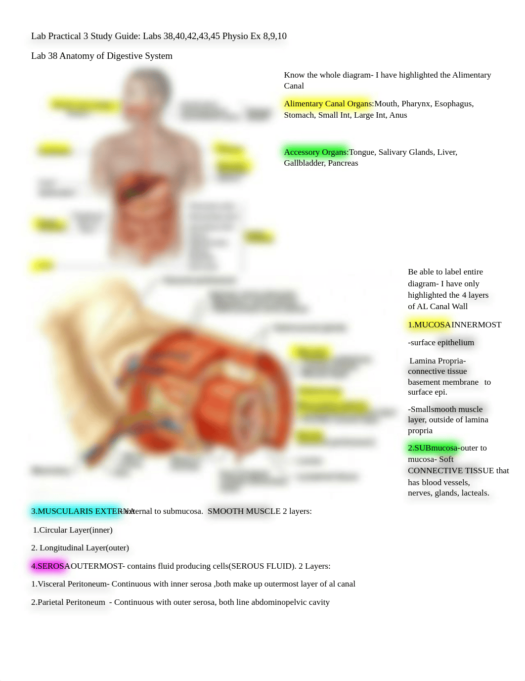 Lab Practical 3.docx_dcjfhkevxwg_page1