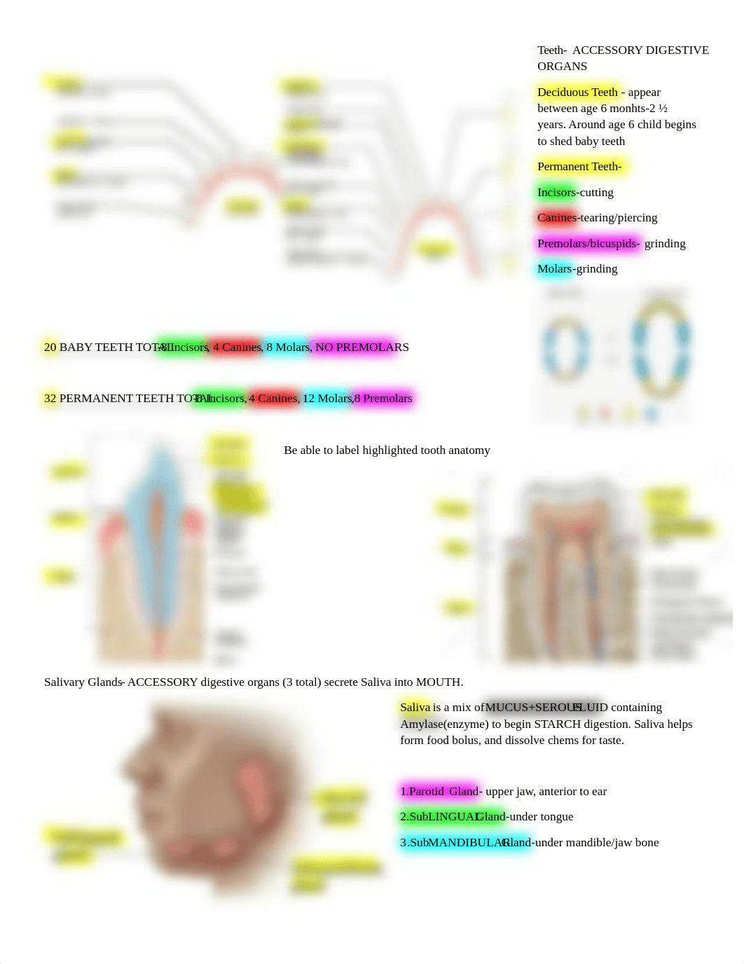 Lab Practical 3.docx_dcjfhkevxwg_page2