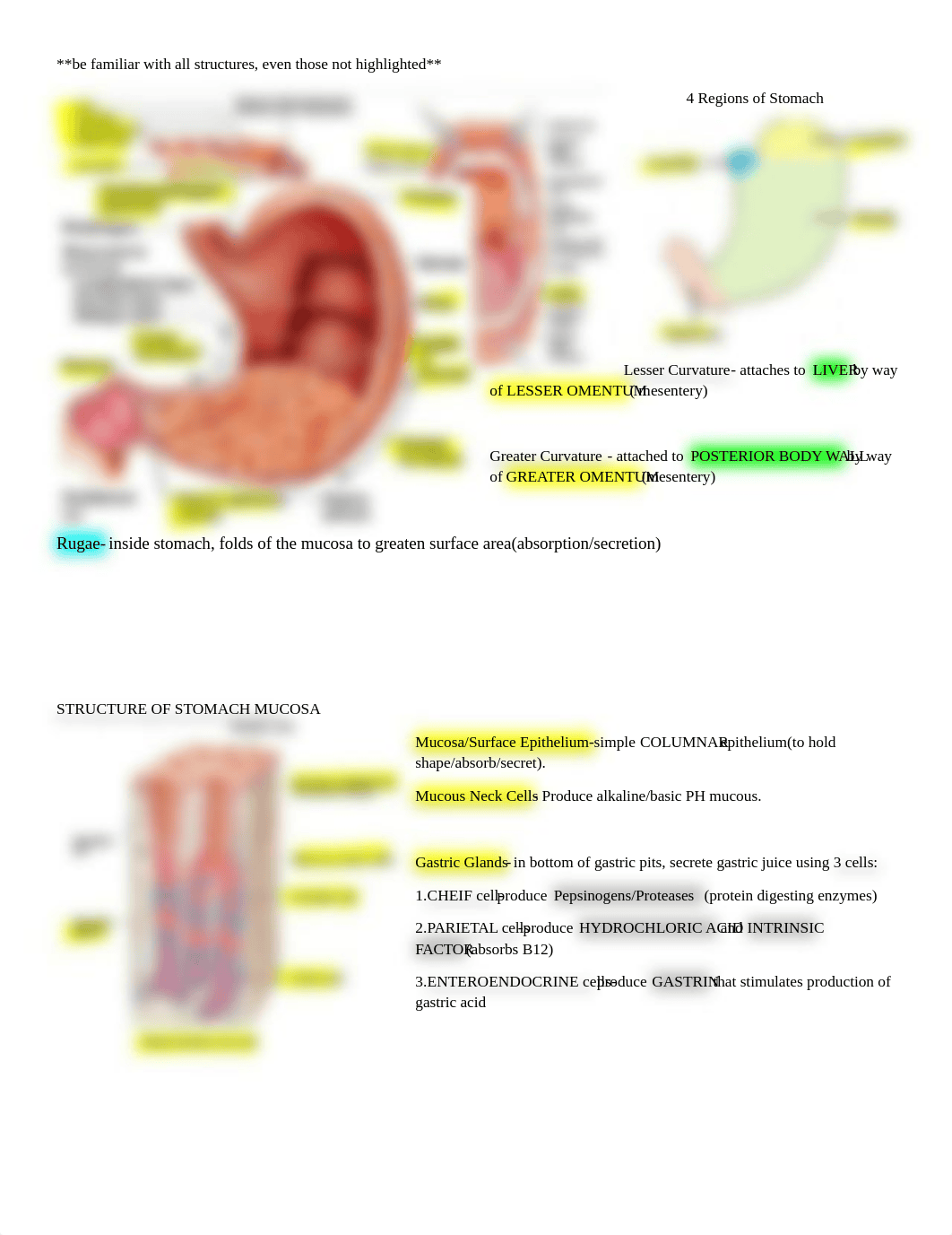 Lab Practical 3.docx_dcjfhkevxwg_page3