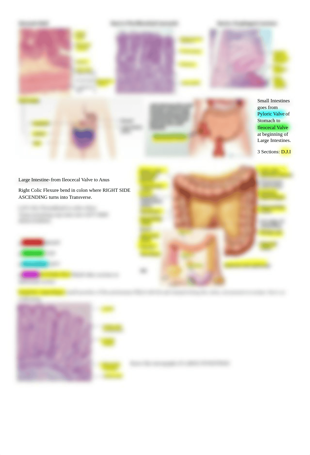 Lab Practical 3.docx_dcjfhkevxwg_page4