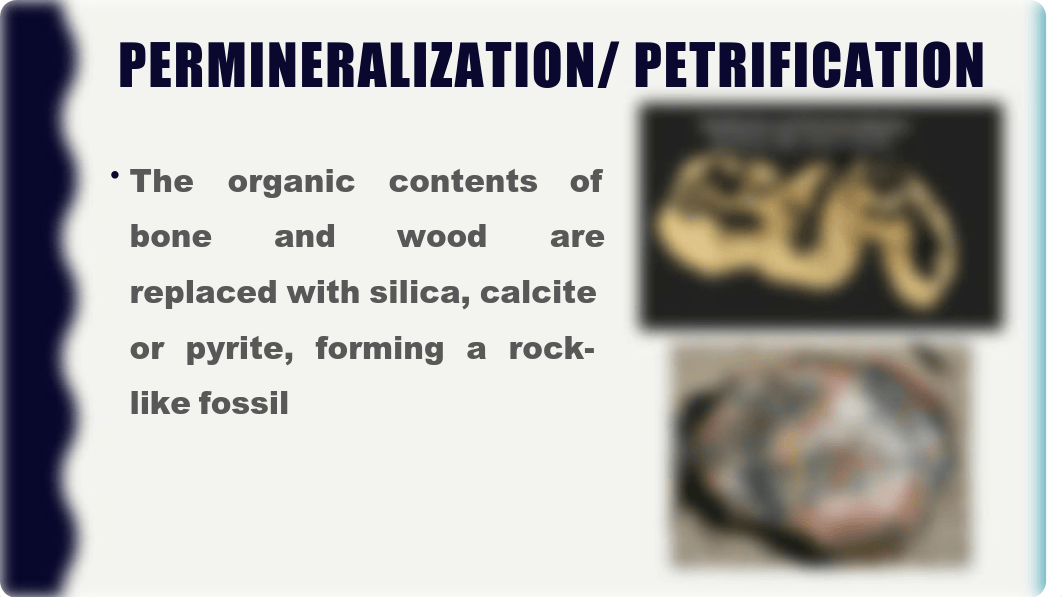 THE-SIX-WAYS-OF-FOSSILIZATION.pdf_dcjiow4eudr_page3