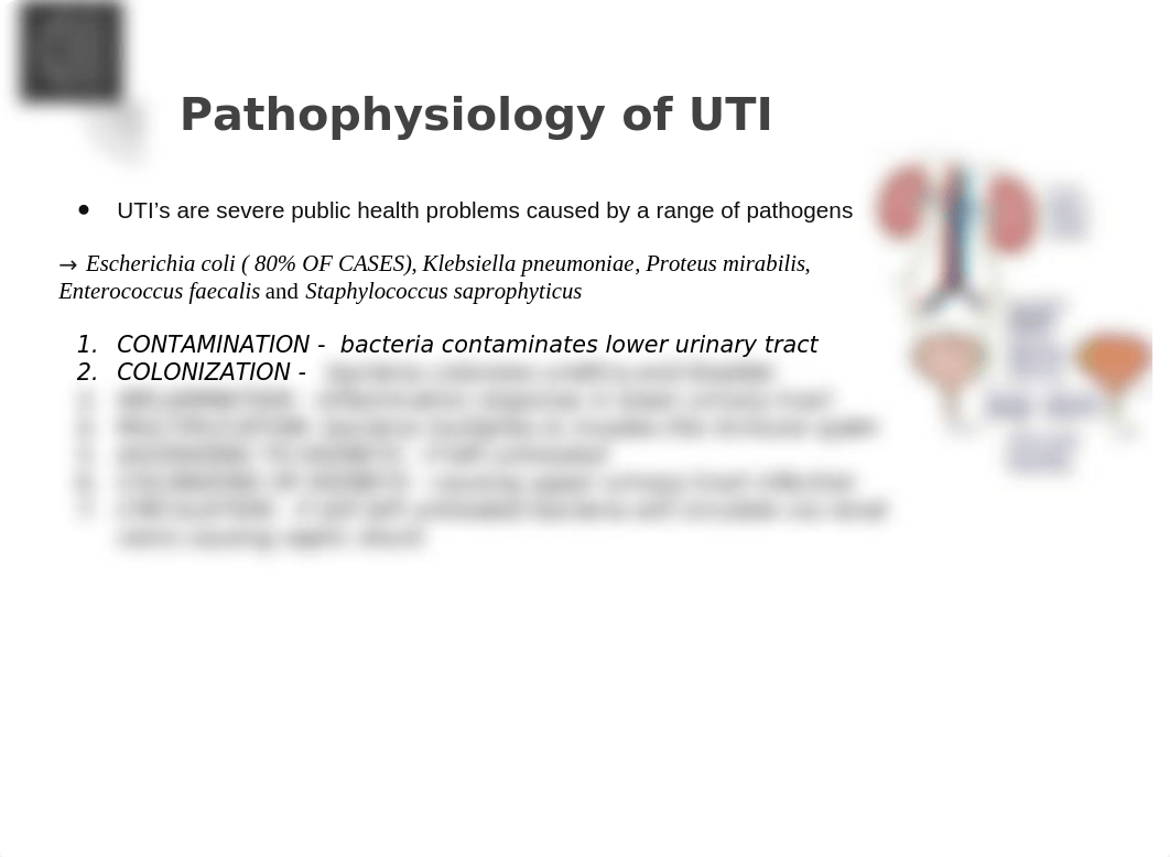 grand rounds 5 uti_cauti  (1) (1).pptx_dcjn9iy0mk2_page4