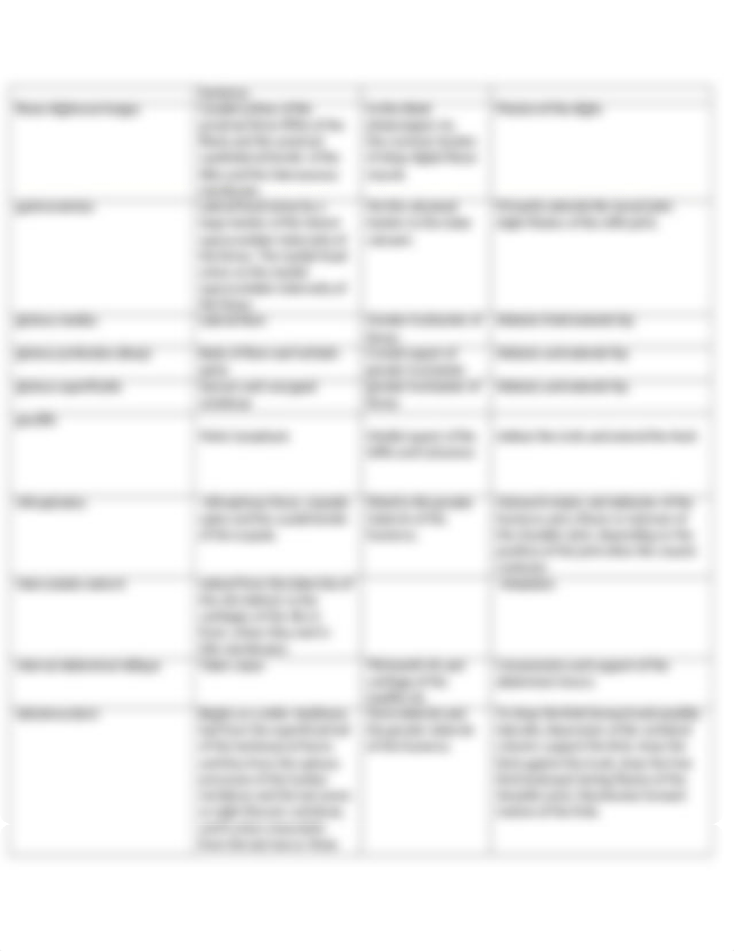 ASSN 5.4 MUSCLE ORIGIN, INSERTION AND ACTION Sp18.docx_dcjq9ch79qa_page3