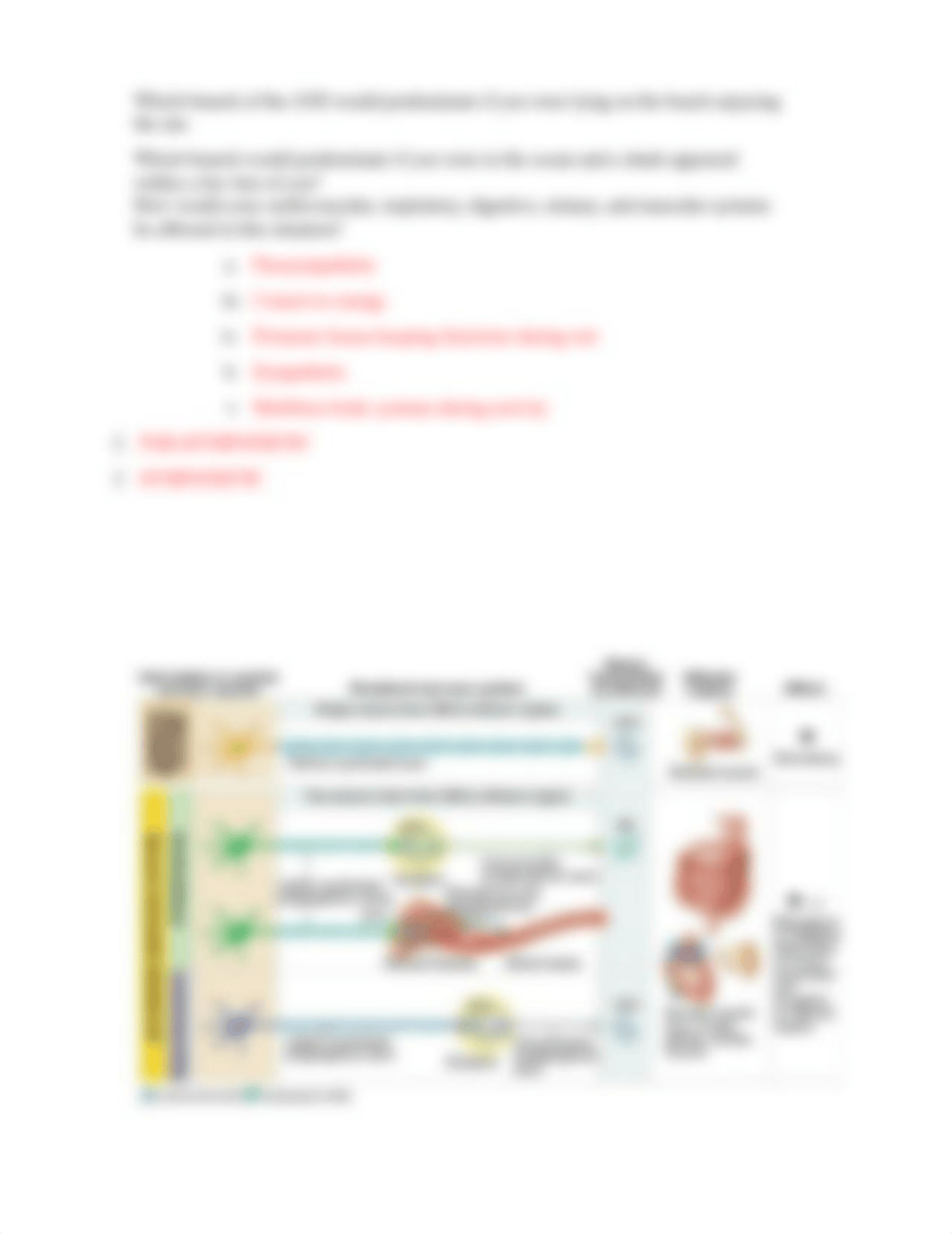 Somatic vs Autonomic Nervous System Assignment.docx_dcjwj04jphc_page2