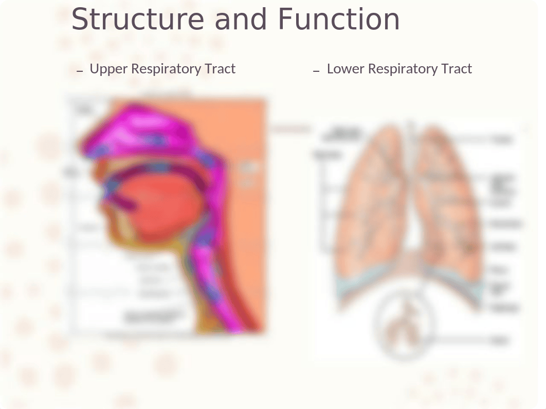 NUR 421 Respiratory Pittman- Student.pptx_dck5b4omb2x_page3