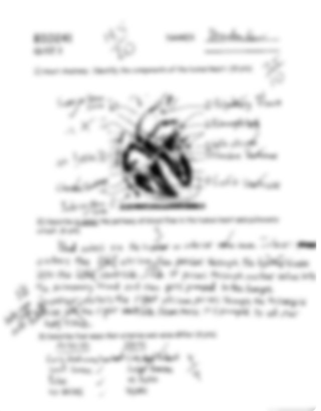 Heart Anatomy Quiz_dckaz5pn2pn_page1