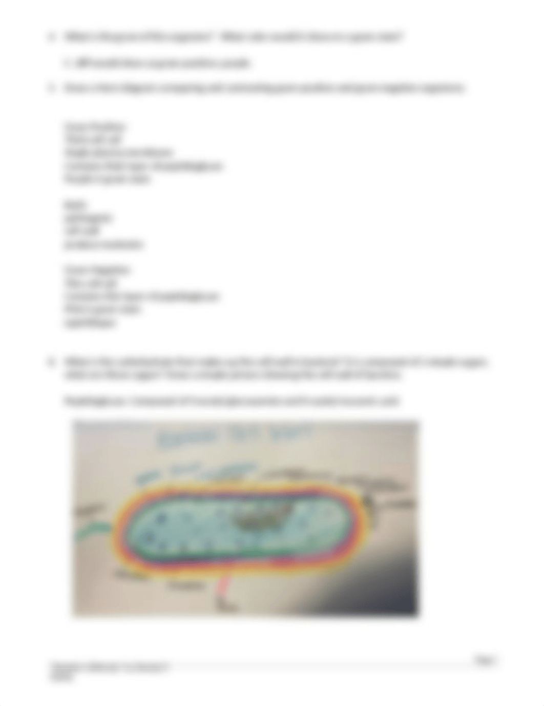 Bacteria Gram Case Study C. diff.docx_dckgda894xy_page2