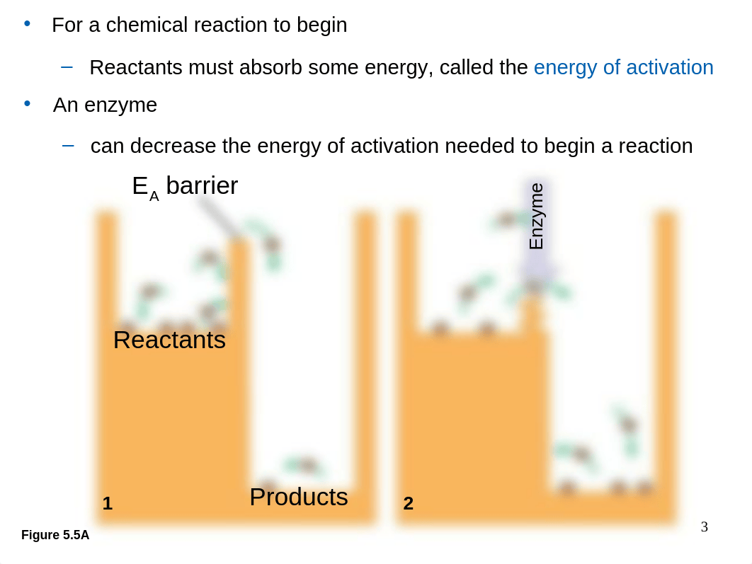 Lecture 5 Part 2_dckqzxpygiy_page3