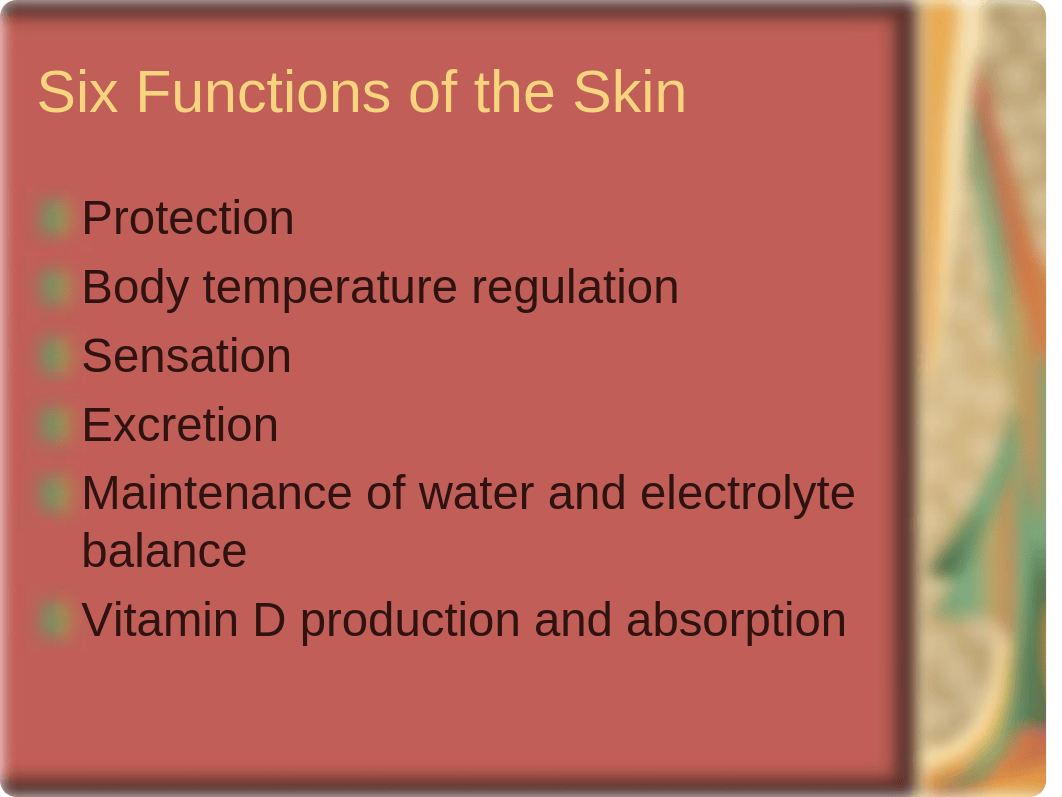 Wound Lecture.ppt_dckv7nfmr51_page5