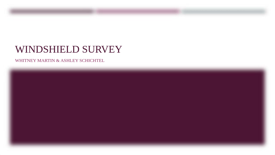 Windshield Survey Project.pptx_dcl37h0hful_page1