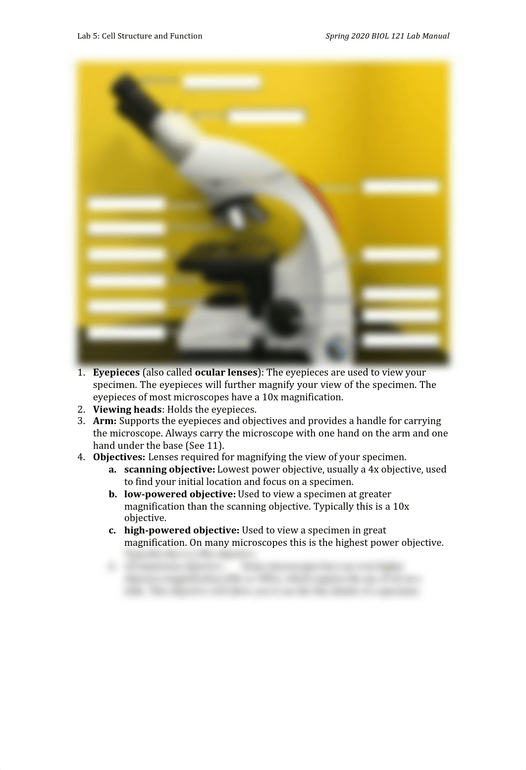 Lab 5 - cell structure and function S20.pdf_dcl4yjodt5g_page3