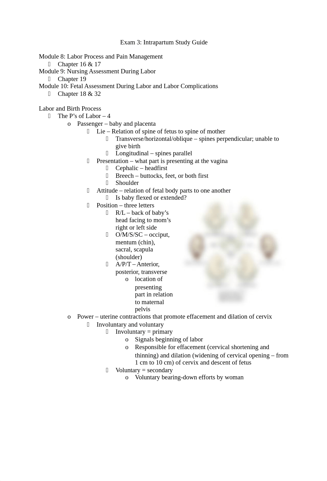 Exam 3 Study Guide.docx_dclg427m5bc_page1