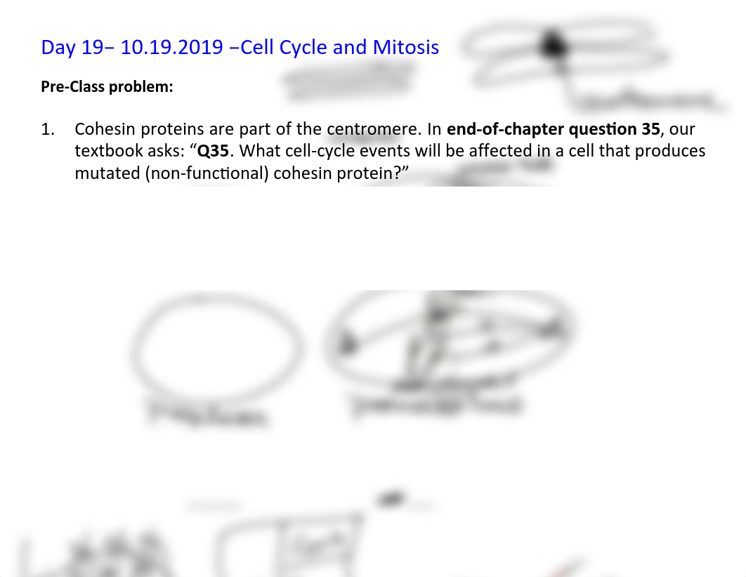 B203_Day_19_Cell_Cycle_and_Mitosis_MARKUP_10.19.2018.pptxy.pdf_dcljnweu0h9_page1