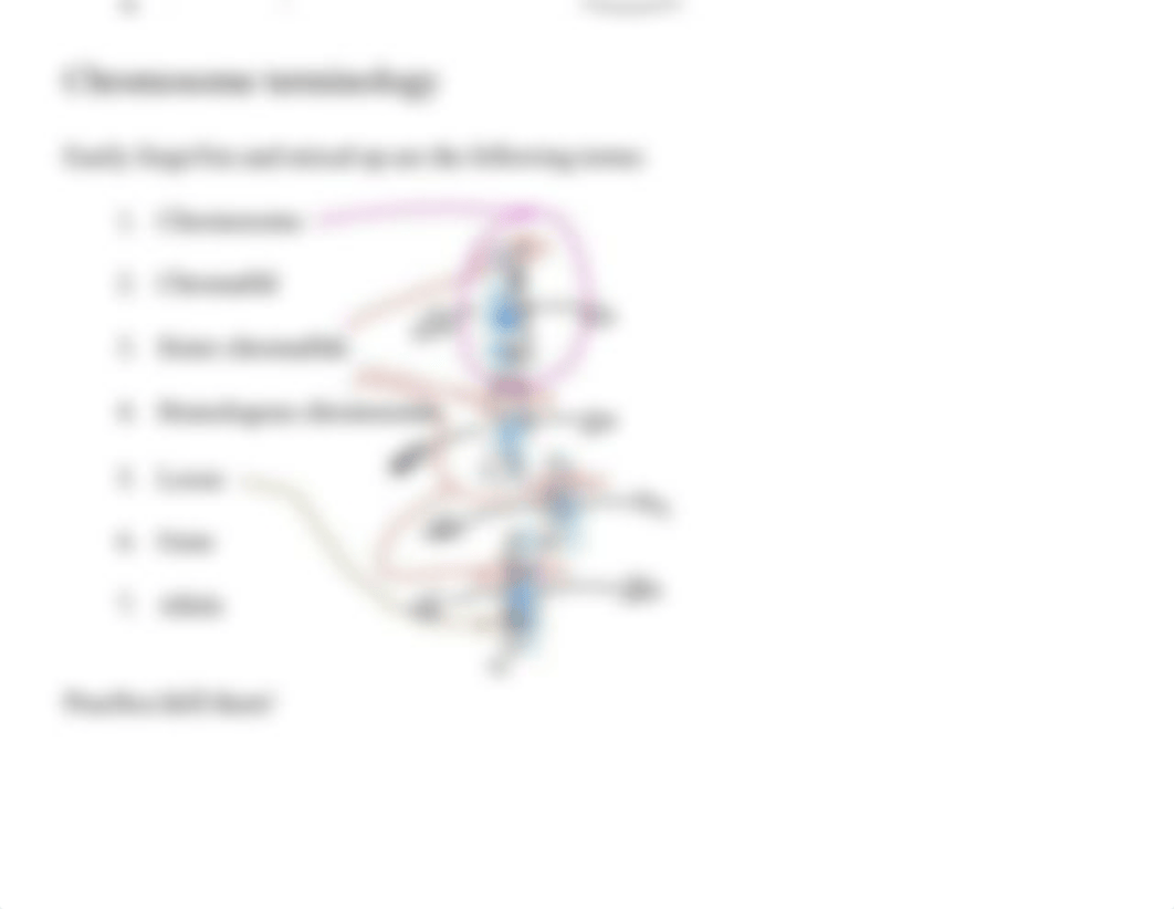 B203_Day_19_Cell_Cycle_and_Mitosis_MARKUP_10.19.2018.pptxy.pdf_dcljnweu0h9_page3