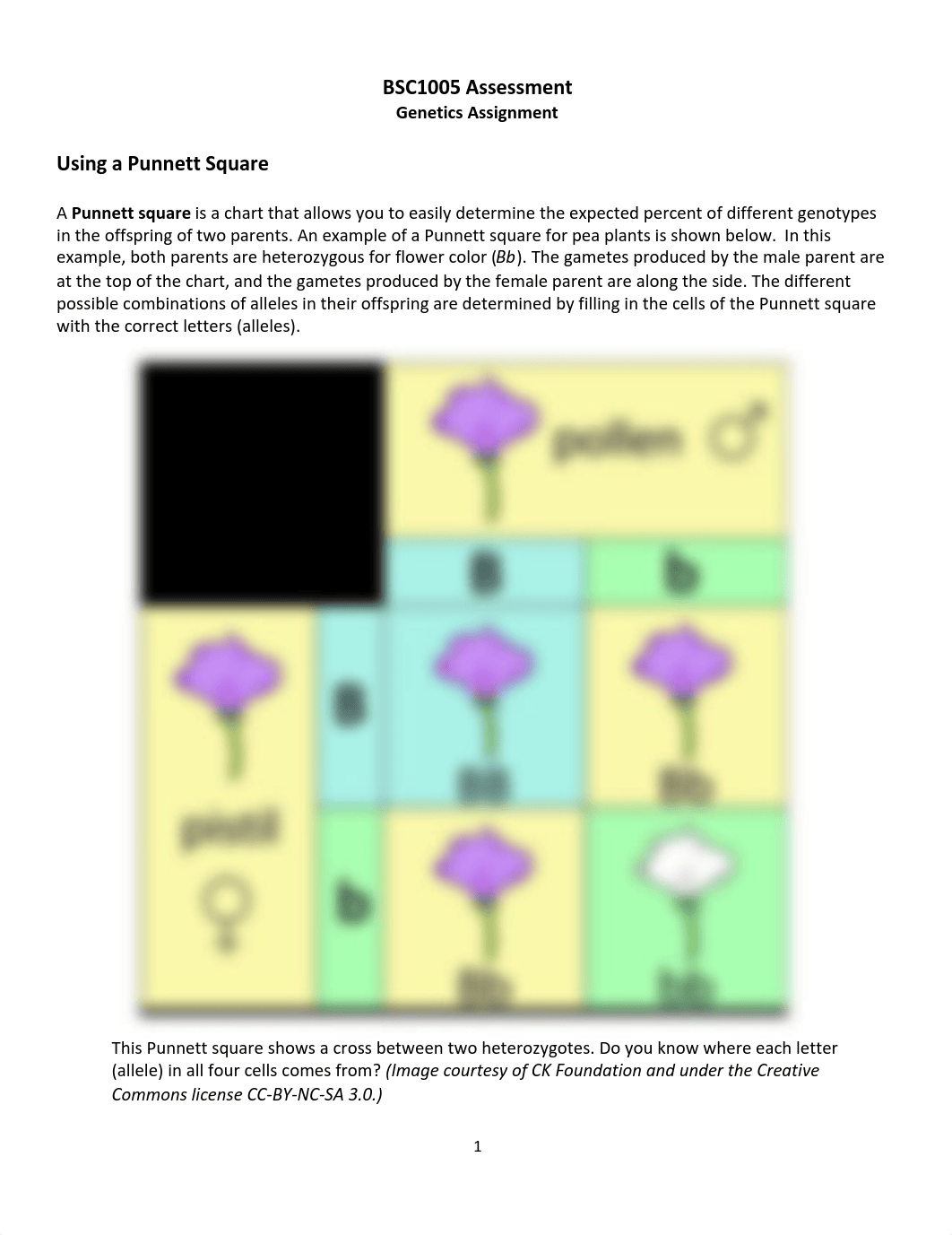 Genetics Problems.pdf_dclqynkug2y_page1