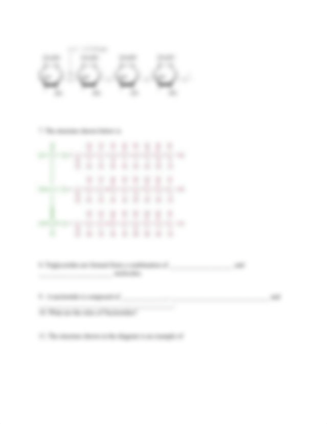 Practice Problem - Proteins, Carobohydrates, Lipids, Nucleic acids (1)_dclrz2etxi8_page4