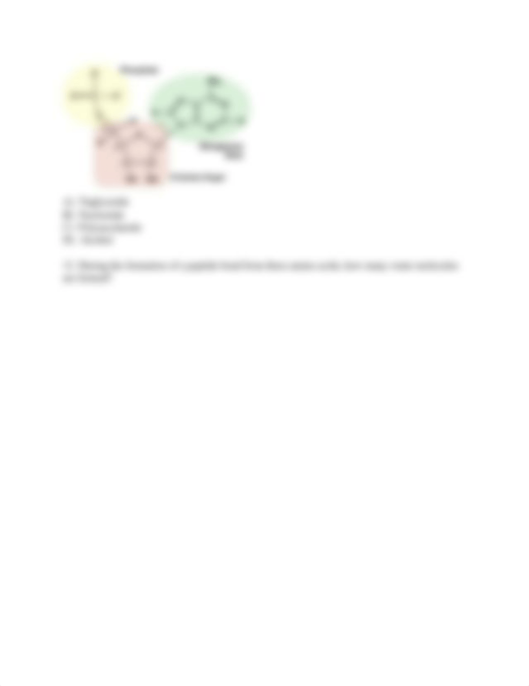 Practice Problem - Proteins, Carobohydrates, Lipids, Nucleic acids (1)_dclrz2etxi8_page5