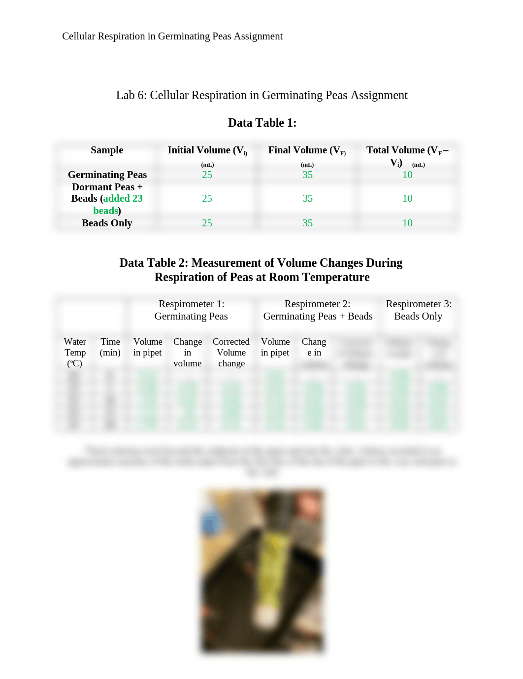 Lab - Cellular Respiration in Germinating Peas Assignment.docx_dclumko8w38_page1