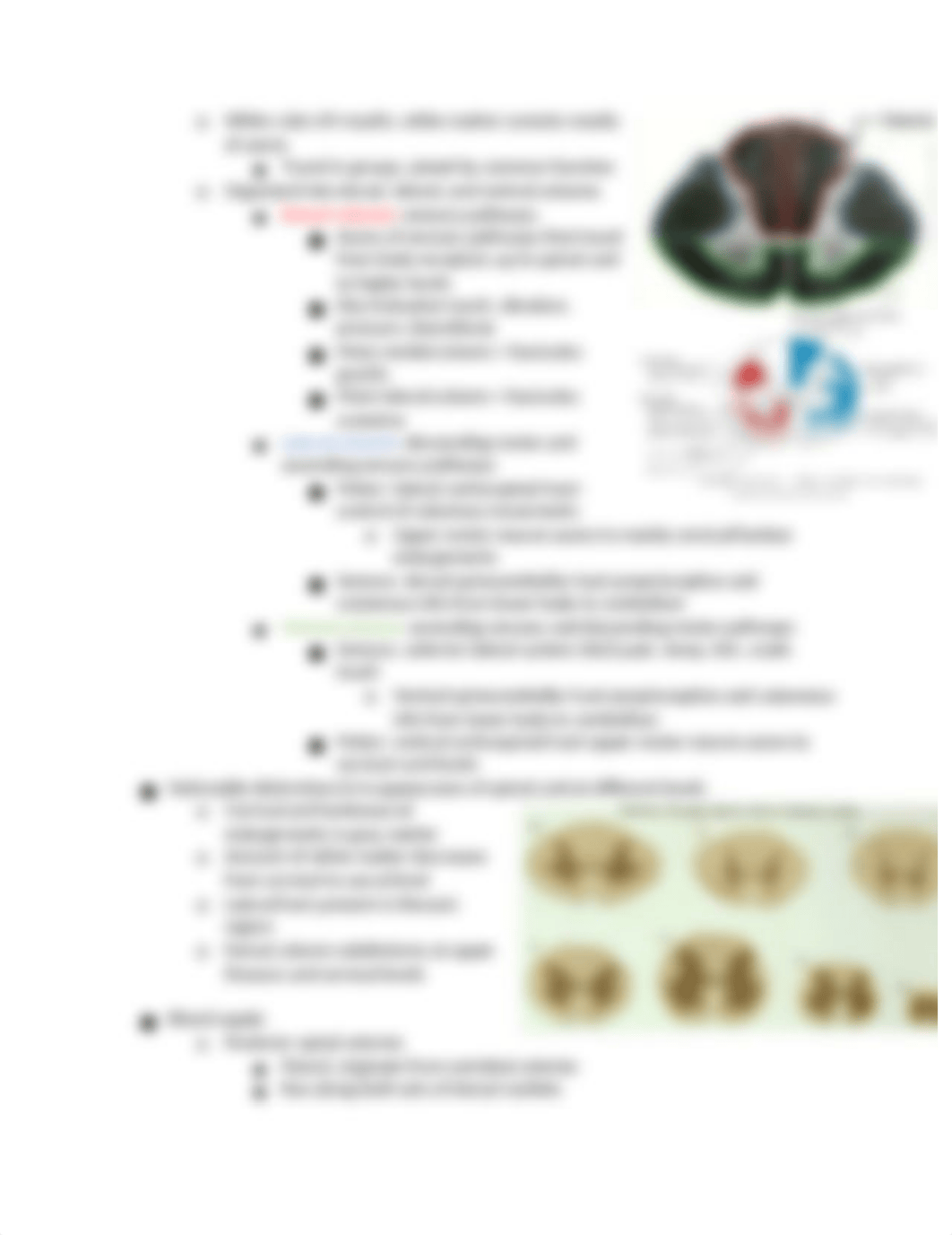 PT 603 Exam 2 Study Guide.docx_dcly95jwsdq_page4