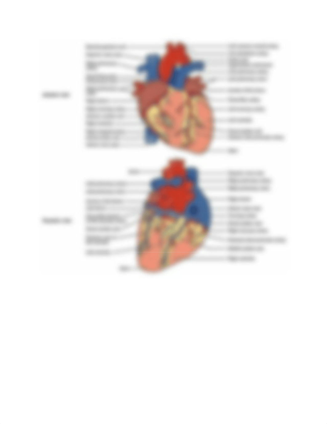 lab ana 2.docx_dclykdsiwrt_page2