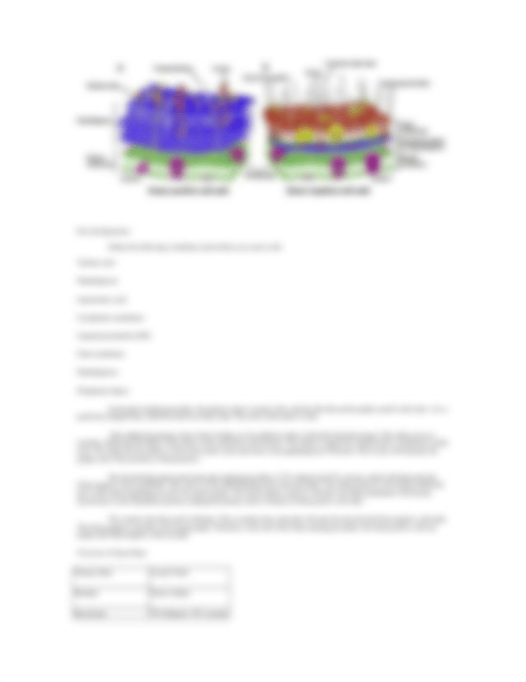 Chapter 5 - Gram Staining_dcm1zidrdon_page2