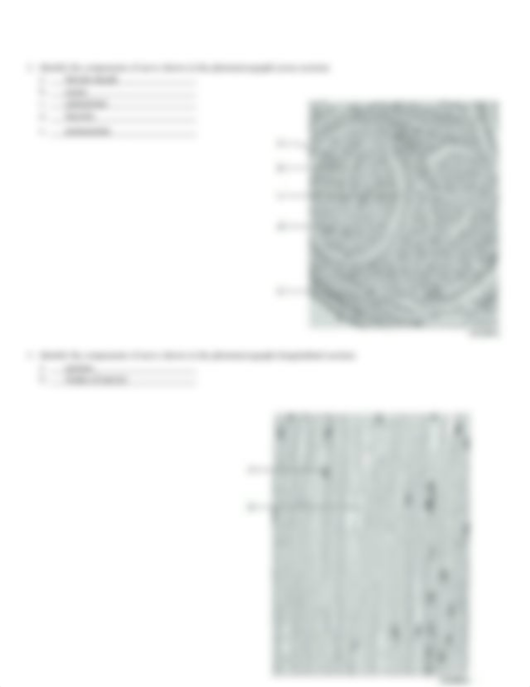 8. Unit 8 laboratory exercise 14 (1)_dcm5y3qfw84_page2