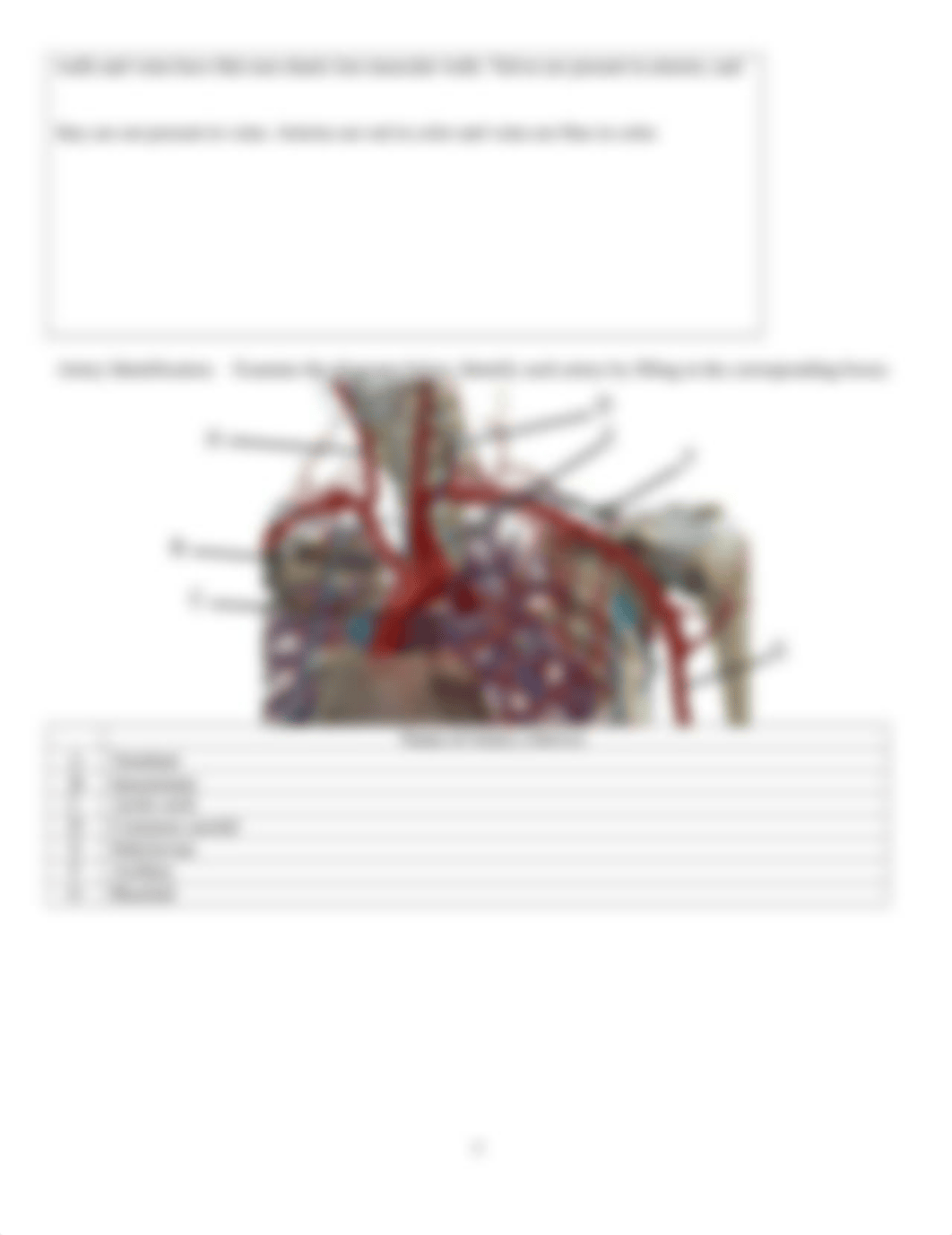 Lab 9 Cardiovascular System (1).docx_dcmcwv474qx_page4