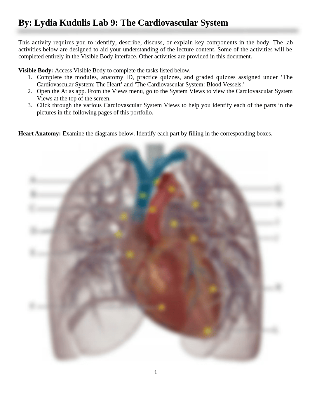 Lab 9 Cardiovascular System (1).docx_dcmcwv474qx_page1