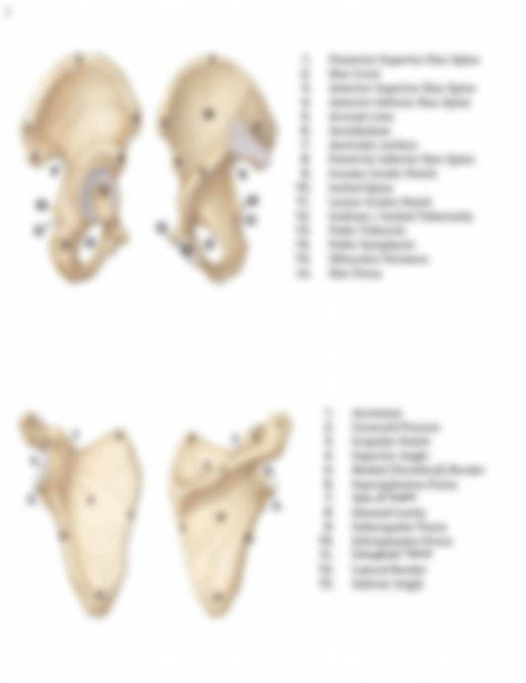 Diagrams.pdf_dcmd96k8h59_page5