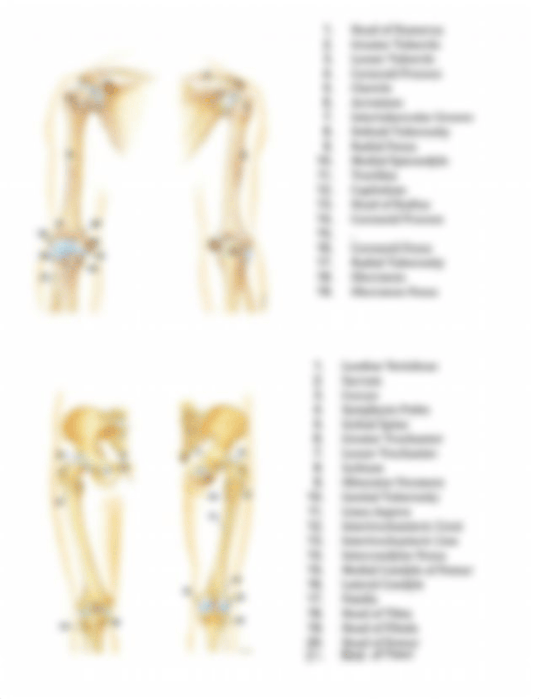 Diagrams.pdf_dcmd96k8h59_page4