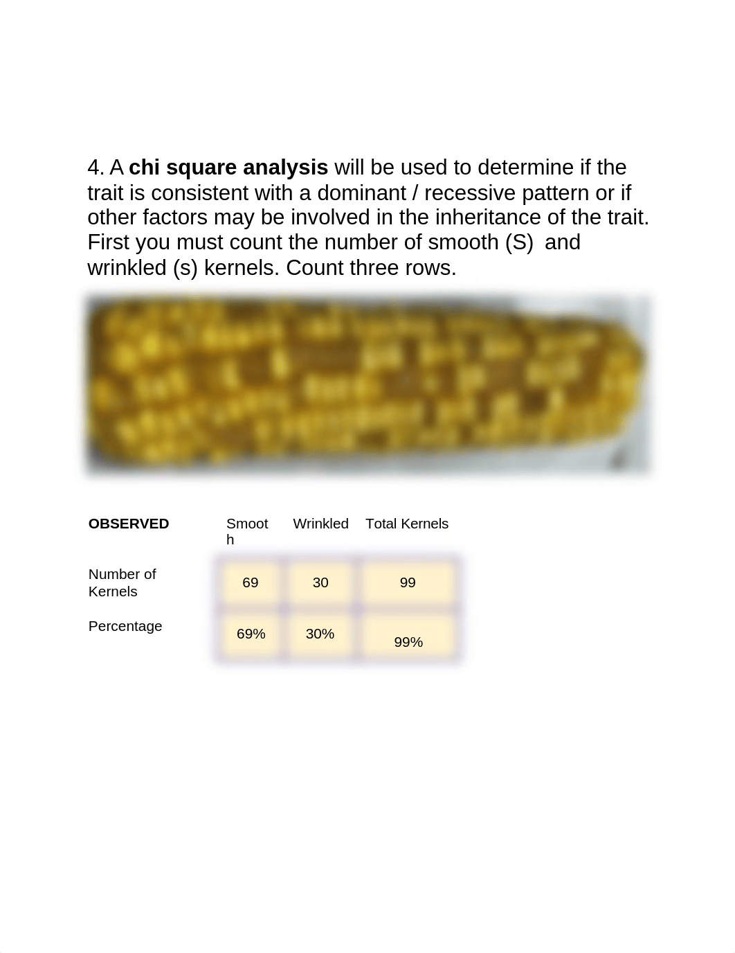 Corn Genetics (1).docx_dcme2a01hbs_page5