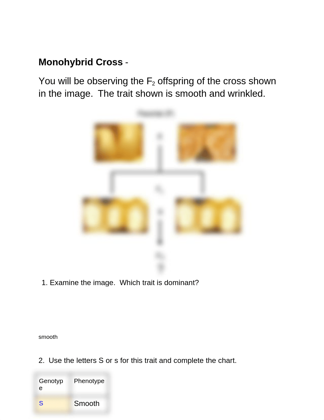 Corn Genetics (1).docx_dcme2a01hbs_page3