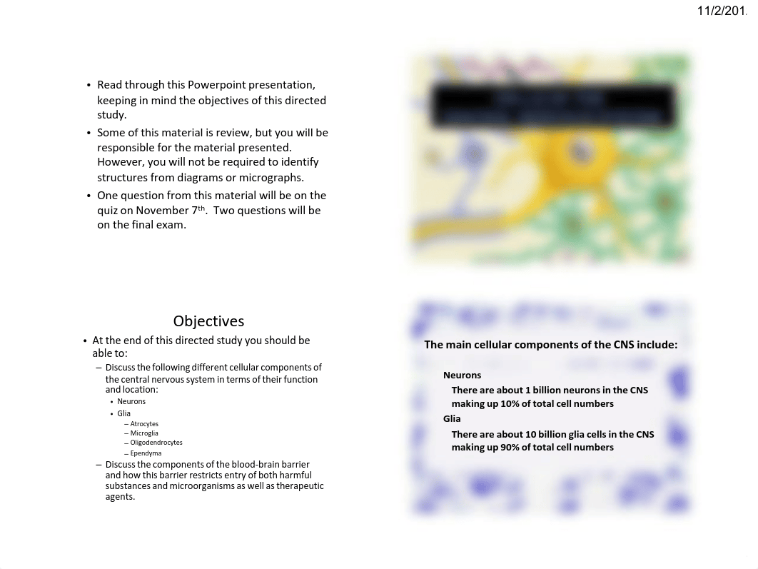 Cells of the CNS 4p.pdf_dcmh6nt5hp2_page1