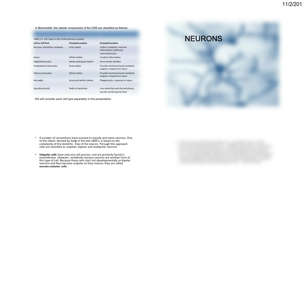 Cells of the CNS 4p.pdf_dcmh6nt5hp2_page2