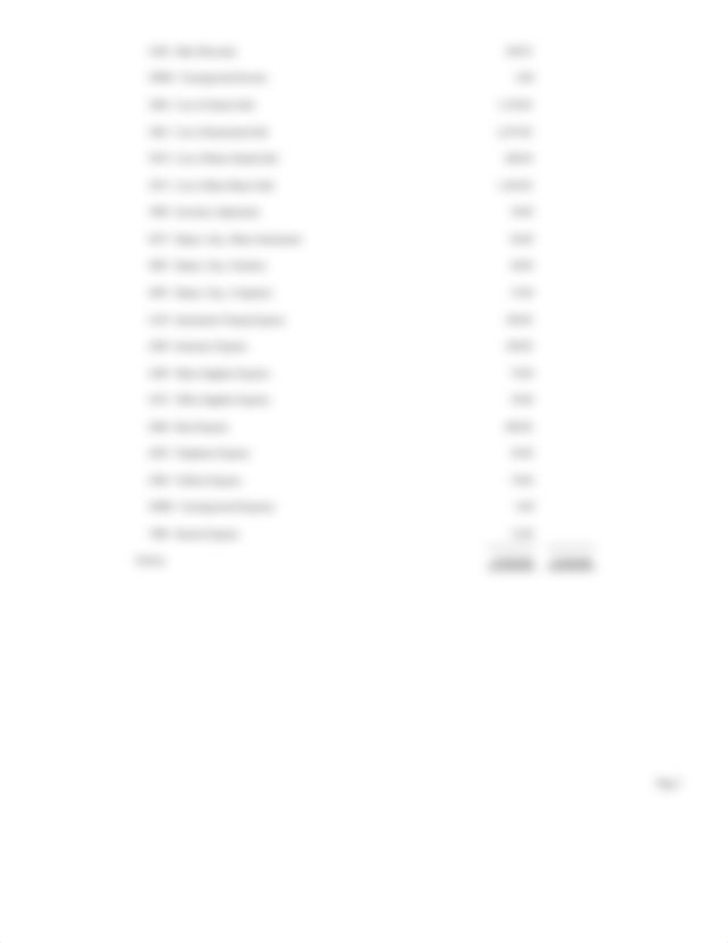 Chapter 6 - Trial Balance Report_dcmx1xcpagz_page2