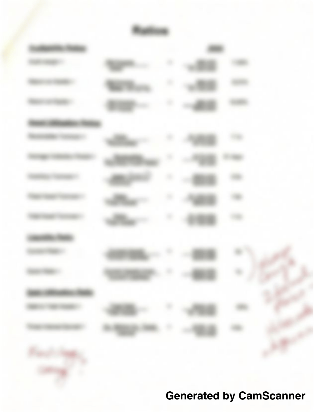 Ratio Analysis Project_dcnbmfg5a7p_page1