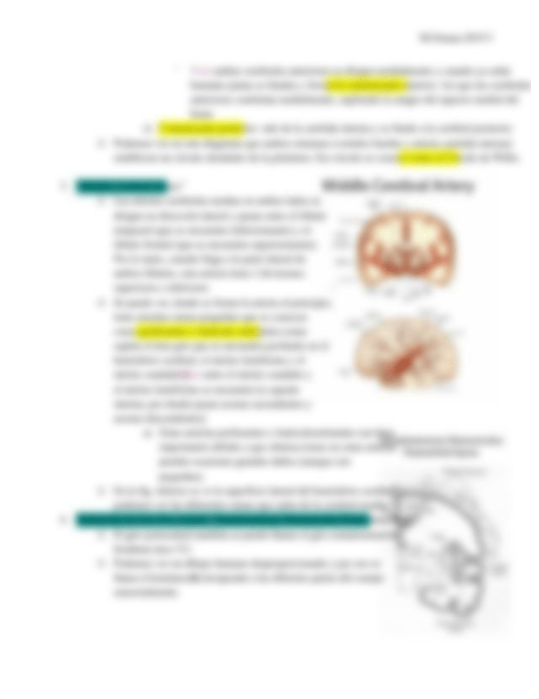 Repaso Neuro-Midterm.pdf_dcnci9t0pru_page4