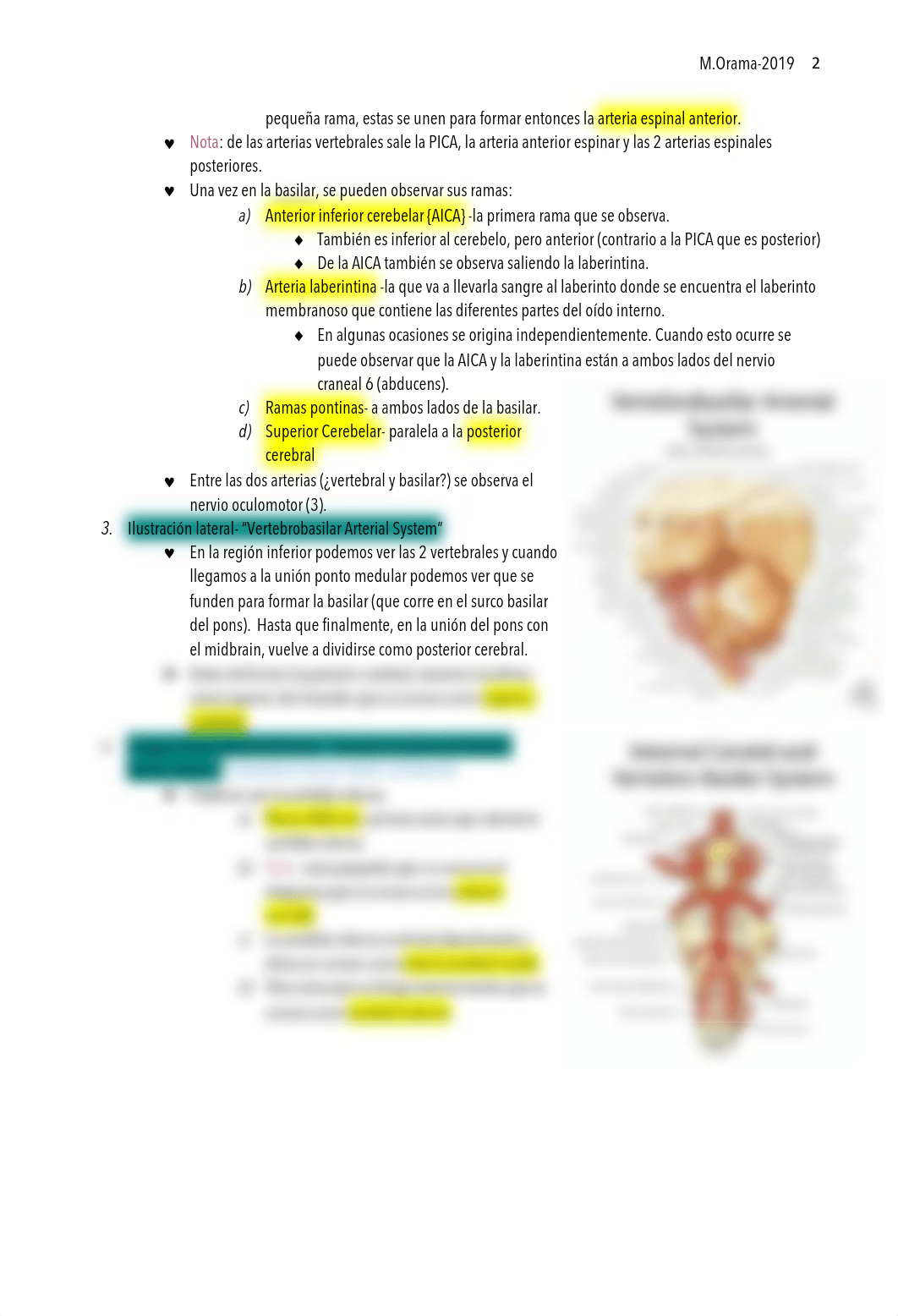 Repaso Neuro-Midterm.pdf_dcnci9t0pru_page3