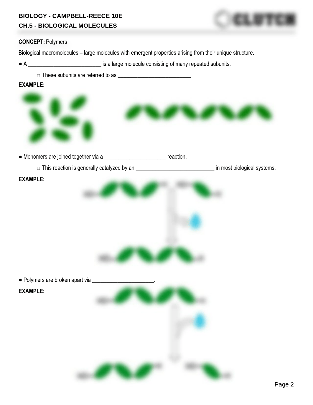 biology-12-campbell-biology-campbell-reece-91-ch-5-biological-molecules-3433_dcngkjza78c_page2