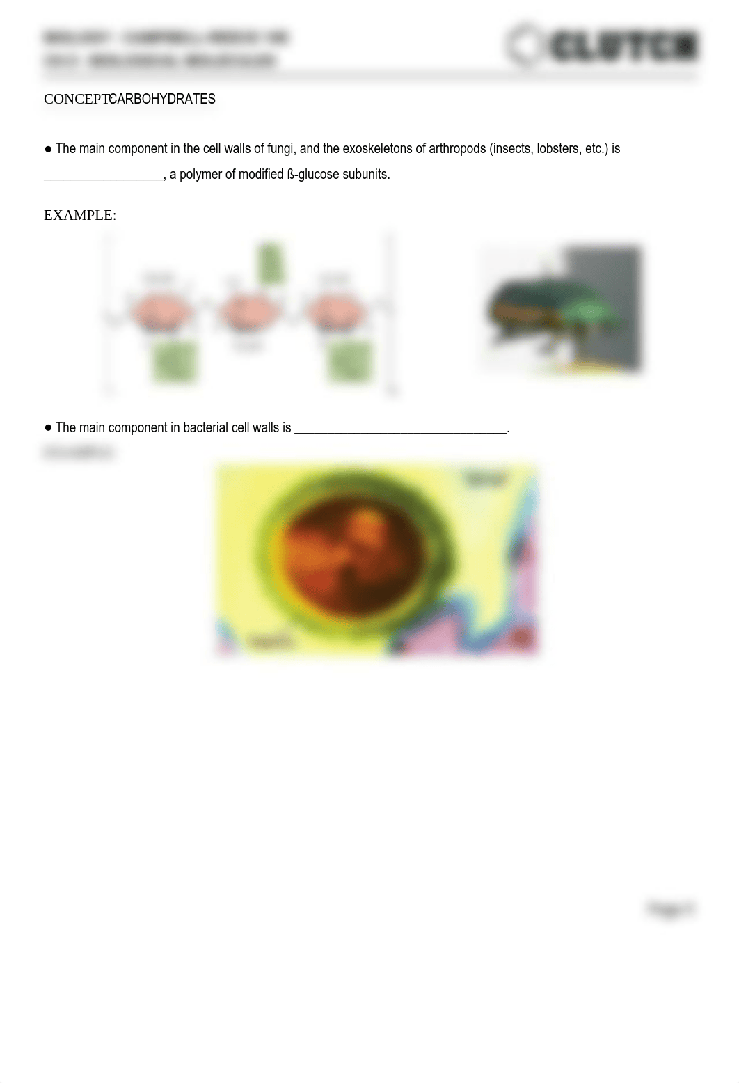 biology-12-campbell-biology-campbell-reece-91-ch-5-biological-molecules-3433_dcngkjza78c_page5